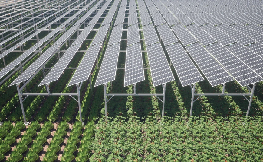 Agriculture/&eacute;levage/p&ecirc;che compl&eacute;mentaire &agrave; l'&eacute;nergie solaire