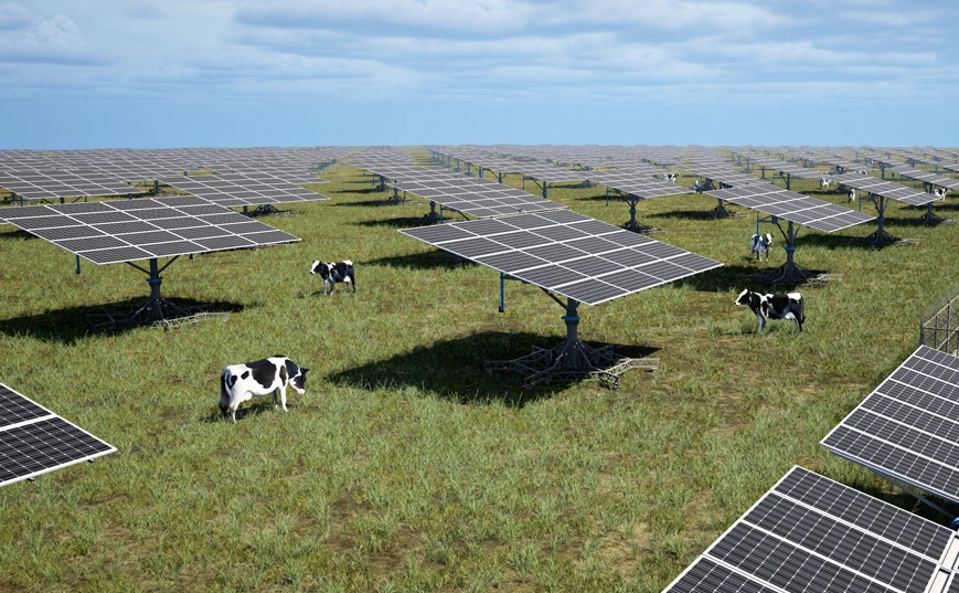 Agriculture/&eacute;levage/p&ecirc;che compl&eacute;mentaire &agrave; l'&eacute;nergie solaire